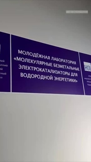 Нефтесорбент из природного полимера: разработка Ангелины Медведевой выходит на международный уровень