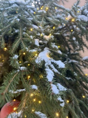 По информации ЕДДС и данным Мордовского центра по гидрометеорологии и мониторингу окружающей среды