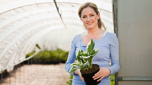 «Рассыпятся через пару лет»: эксперт раскрыл важный нюанс о теплицах из поликарбоната