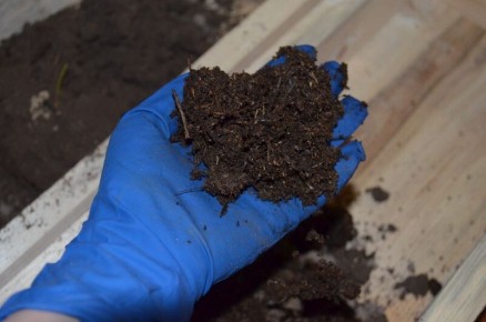 Секреты идеальной почвенной смеси для рассады перца