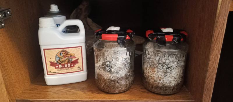 Завершено расследование уголовного дела в отношении местного жителя, обвиняемого в незаконном хранении гашиша Завершено расследование уголовного дела в отношении местного жителя, обвиняемого в незаконном хранении гашиша