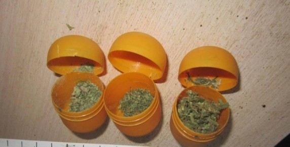 Оперативники УНК МВД по Республике Мордовия обнаружили на чердаке доме жителя Рузаевки горшки с произрастающей коноплей и марихуану, хранящуюся в ведре и контейнерах от шоколадных яиц