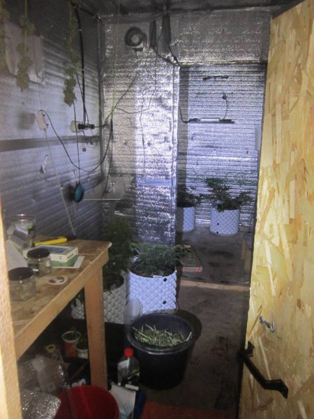 Оперативники УНК МВД по Республике Мордовия обнаружили на чердаке доме жителя Рузаевки горшки с произрастающей коноплей и марихуану, хранящуюся в ведре и контейнерах от шоколадных яиц Оперативники УНК МВД по Республике Мордовия обнаружили на чердаке доме жителя Рузаевки горшки с произрастающей коноплей и марихуану, хранящуюся в ведре и контейнерах от шоколадных яиц