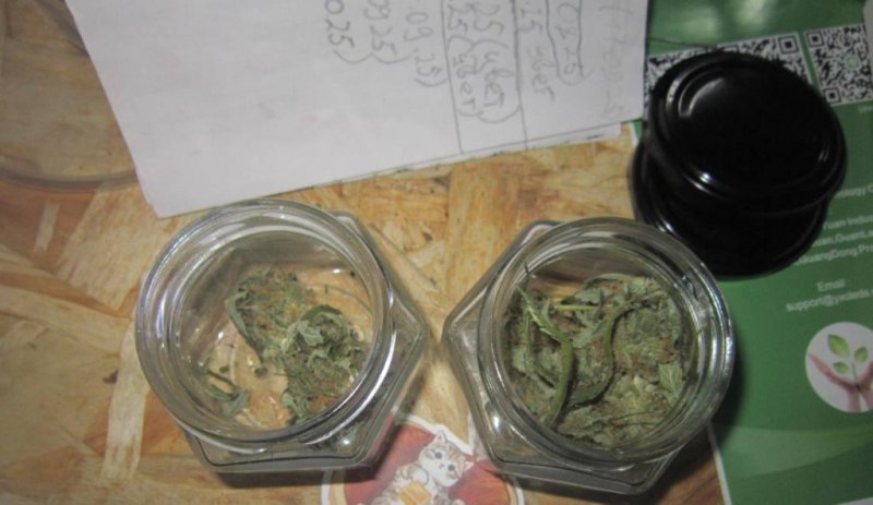 Оперативники УНК МВД по Республике Мордовия обнаружили на чердаке доме жителя Рузаевки горшки с произрастающей коноплей и марихуану, хранящуюся в ведре и контейнерах от шоколадных яиц Оперативники УНК МВД по Республике Мордовия обнаружили на чердаке доме жителя Рузаевки горшки с произрастающей коноплей и марихуану, хранящуюся в ведре и контейнерах от шоколадных яиц