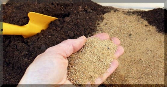 ��� ��������� ������������ ����� ��� ����������� �������