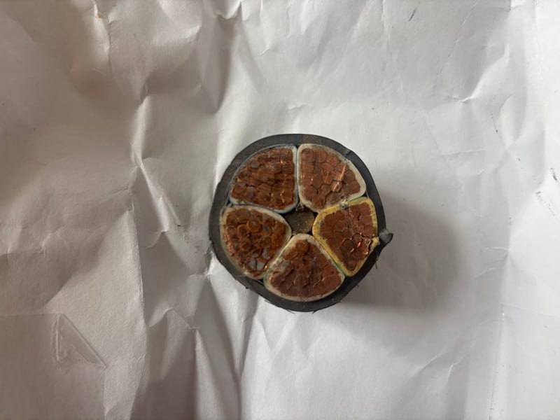 В Саранске двое слесарей признаны виновными в хищении из больницы электропровода на сумму более 400 тысяч рублей В Саранске двое слесарей признаны виновными в хищении из больницы электропровода на сумму более 400 тысяч рублей