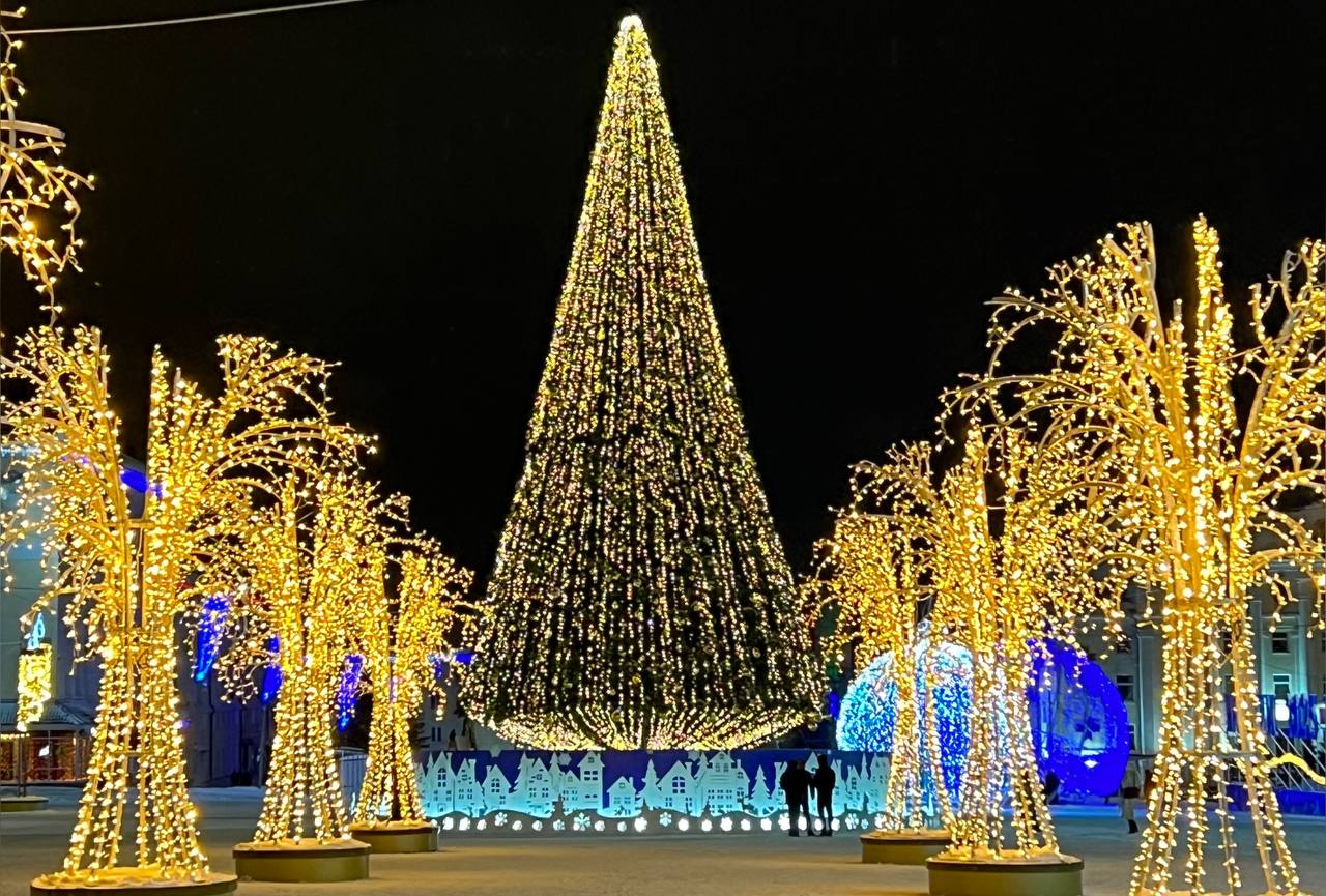 Городская ёлка зажигает огни!