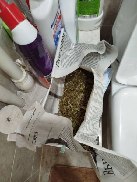 В Мордовии осужден наркоагроном, хранивший на заброшенной даче более 2 килограммов марихуаны В Мордовии осужден наркоагроном, хранивший на заброшенной даче более 2 килограммов марихуаны