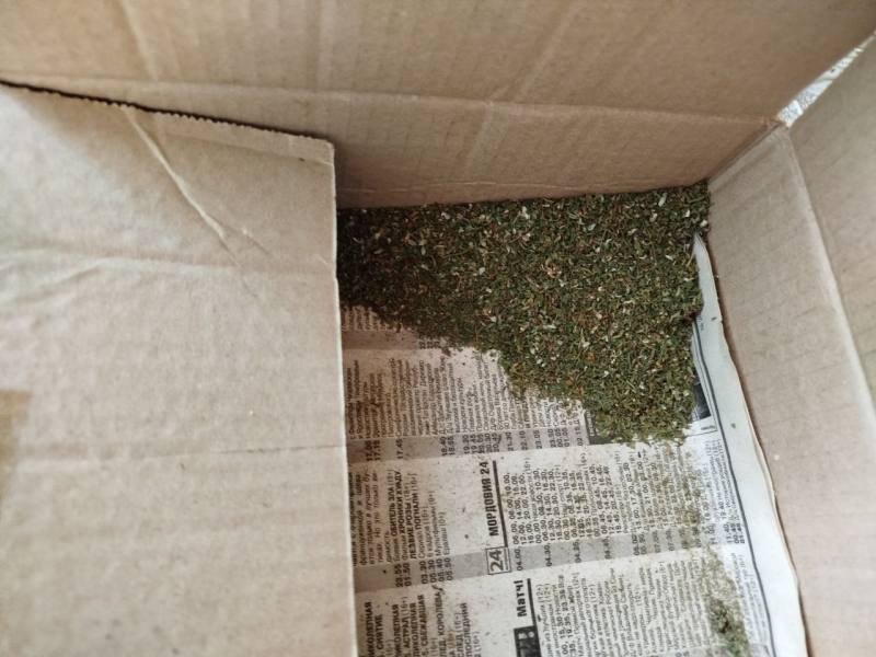 В Мордовии осужден наркоагроном, хранивший на заброшенной даче более 2 килограммов марихуаны В Мордовии осужден наркоагроном, хранивший на заброшенной даче более 2 килограммов марихуаны