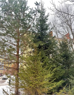 �� ���������� ���� � ������ ����������� ������ �� ����������������� � ����������� ���������� �����