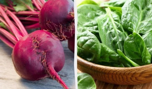 �����, ������� �������: ��� ��������� ������������ � ��������