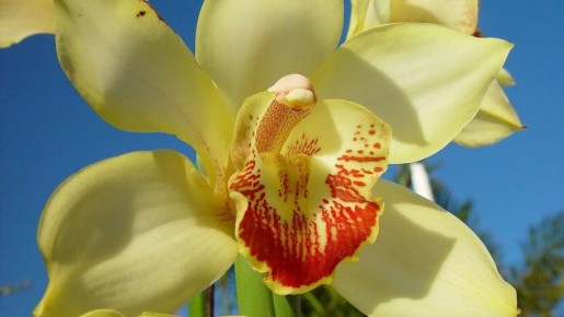 ��� ������� � ����� ������� ����� ��������: ������� ������ �� �����