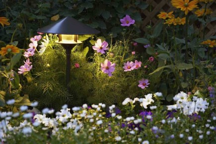 ������ �����: ���������� ��� �������� �������