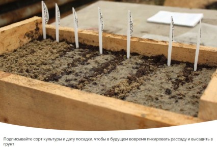 ������ ��������� ��������: ��� ������ � 30 ������� �� 5 ������