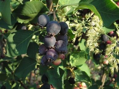 ����: ��������� ��������� ��� ������ ���� � ������������ ������� � ��������� �����