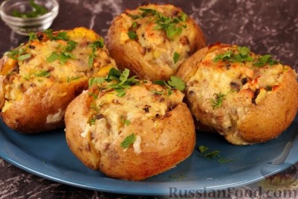 ����������� ���� � ���� ������ ����: ������� ���� ��� ��������