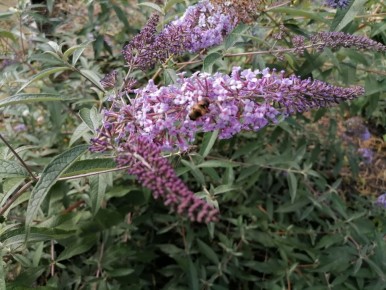 ���� �� ����: ��� ������� ���������� � ������ ����