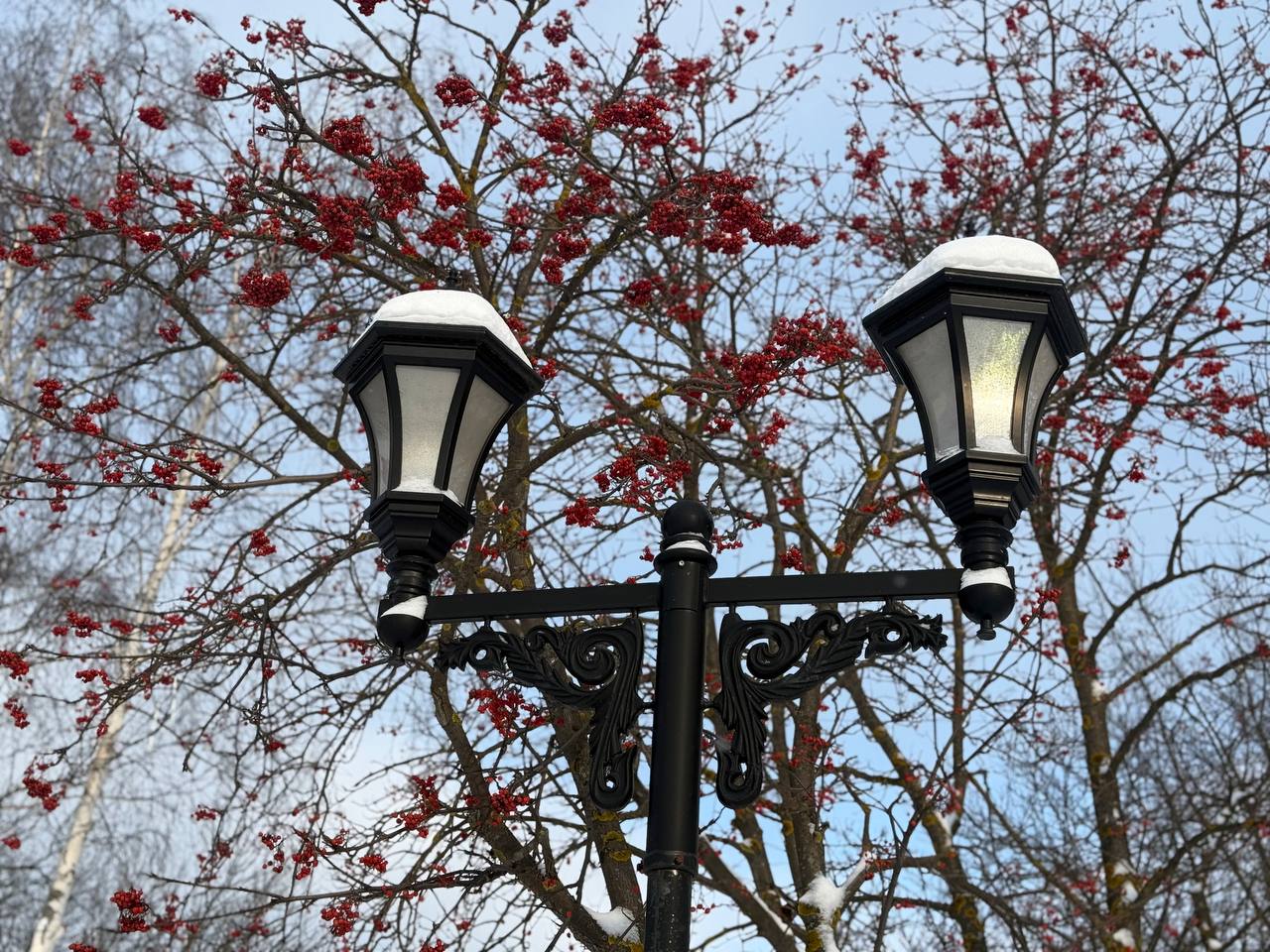 С Новым годом, любимый Саранск! С Новым годом, любимый Саранск!