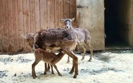 ��������� ������� ������� �������� ������ �������� ����, ������������� � ��-���������