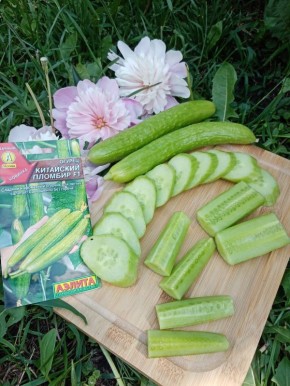 ��������� �������: ����� ������ ������� ��� ������ �������