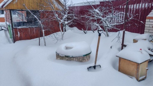 ����������� ���� ������� �� �������!