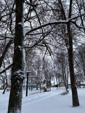 �� ���������� ���� � ������ ����������� ������ �� ����������������� � ����������� ���������� �����: