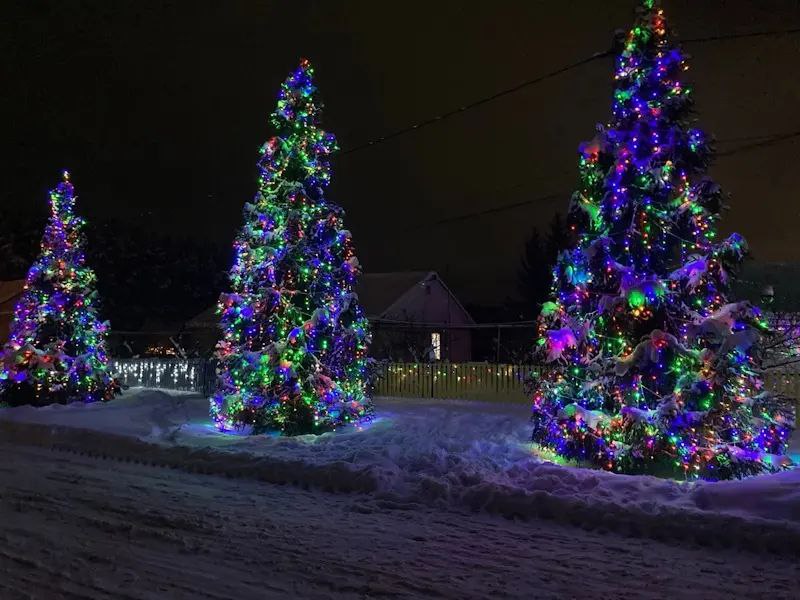 Сказочные олени, снеговики, сани и просто окутанные снегом и переливающиеся гирляндами елки… В такую сказку превращаются сельские улицы во многих районах Мордовии Сказочные олени, снеговики, сани и просто окутанные снегом и переливающиеся гирляндами елки… В такую сказку превращаются сельские улицы во многих районах Мордовии