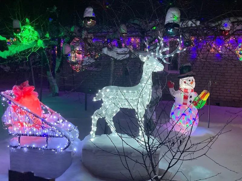 Сказочные олени, снеговики, сани и просто окутанные снегом и переливающиеся гирляндами елки… В такую сказку превращаются сельские улицы во многих районах Мордовии