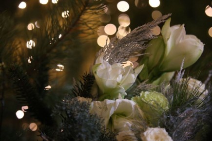 Днем 7 января на территории Мордовии ожидаются осадки в виде снега с переходом в мокрый снег, местами сильные