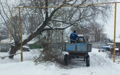 � ������������� ������ �� ������� �� ������ ���������