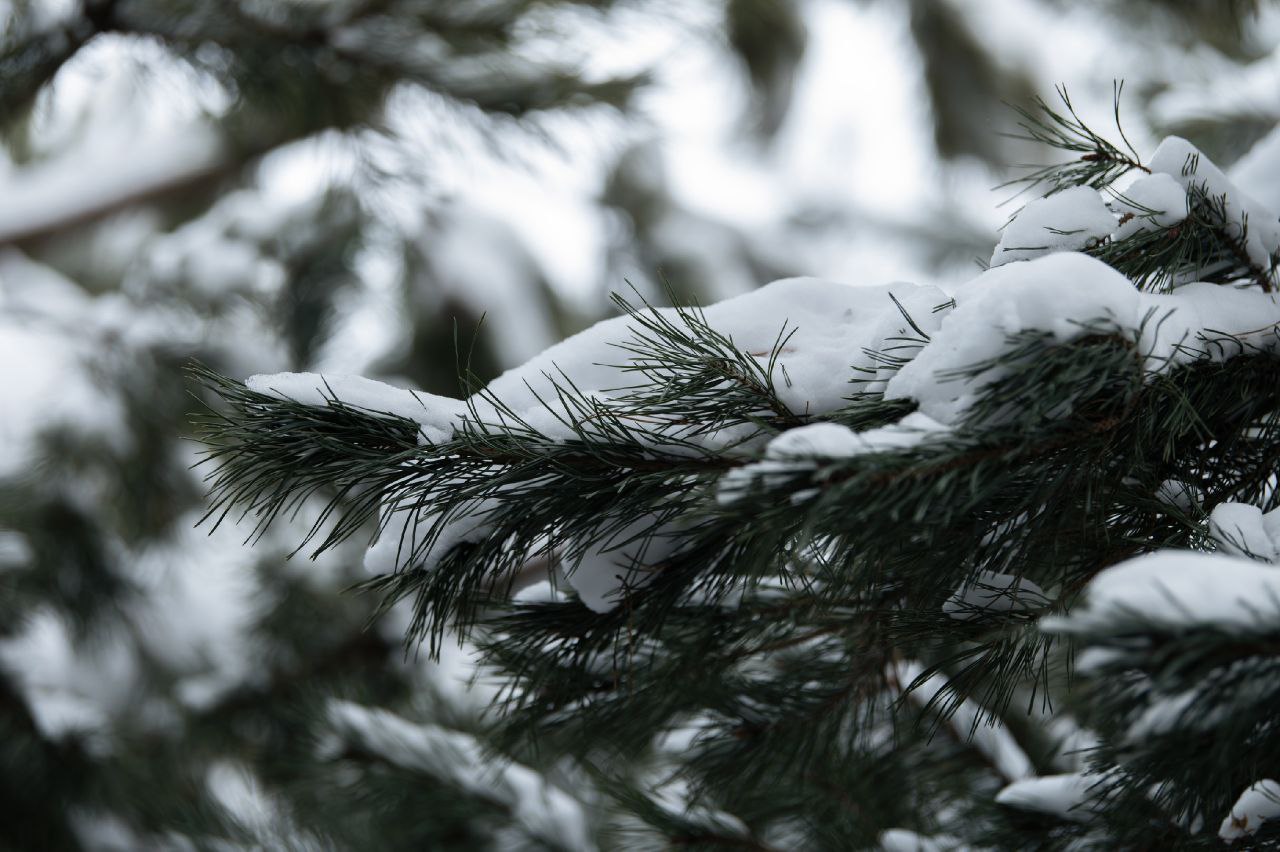 Погода снова меняется: в Мордовии ожидается небольшое повышение температуры воздуха