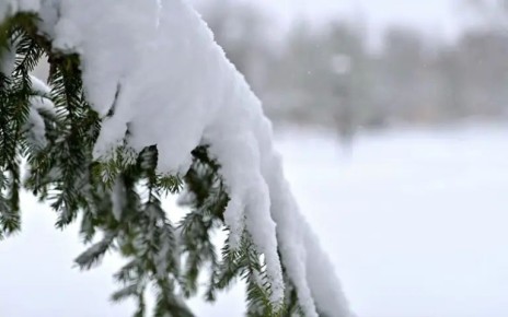 �������� ���������� ����, � �� �������, ���������� ������ ��������� �����������