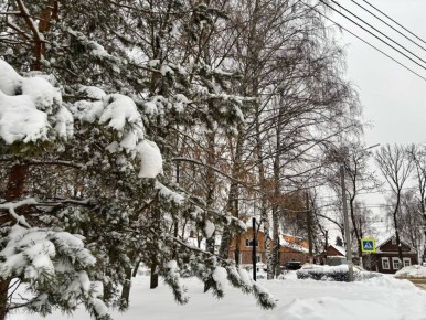 �� ���������� ���� � ������ ����������� ������ �� ����������������� � ����������� ���������� �����: