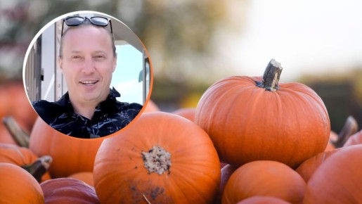 ����� ������: ������ ��������� ����� � ������� �� ���-������