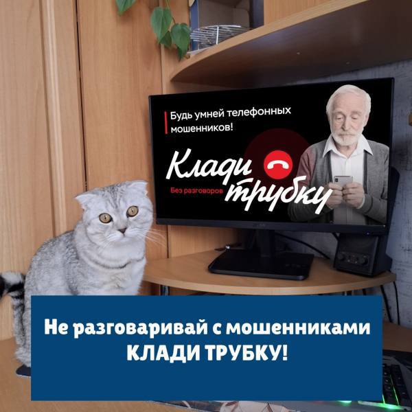 За 2025 год жители Мордовии перечислили мошенникам почти 500 миллионов рублей