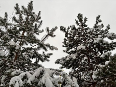 По информации ЕДДС и данным Мордовского центра по гидрометеорологии и мониторингу окружающей среды: