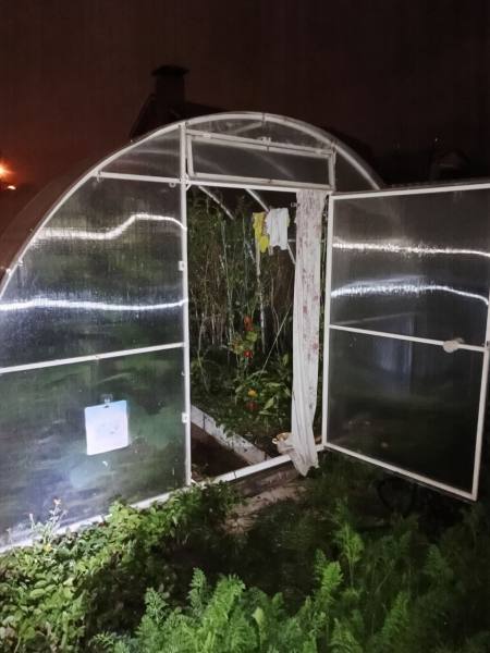 Житель Саранска осужден за хранение марихуаны, которую культировал во дворе дома, и повторное управление мотоциклом в состоянии опьянения Житель Саранска осужден за хранение марихуаны, которую культировал во дворе дома, и повторное управление мотоциклом в состоянии опьянения