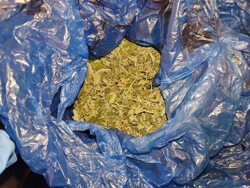 Житель Саранска осужден за хранение марихуаны, которую культировал во дворе дома, и повторное управление мотоциклом в состоянии опьянения Житель Саранска осужден за хранение марихуаны, которую культировал во дворе дома, и повторное управление мотоциклом в состоянии опьянения