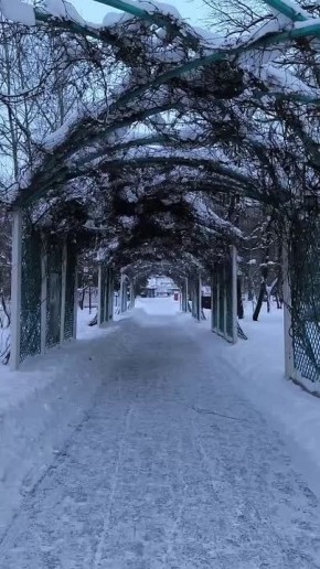 ��������-�������� ������ � ��������, ������� ���������� ������� ����������� �������, ��������� ������������