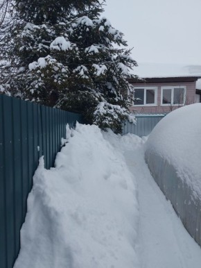 � �������� ���������� ������ �����������