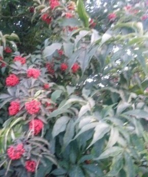 ��������� ������� ������: ��� ����� �����