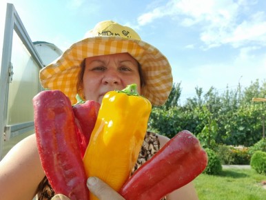 �������� ����������� �������� ����� � 2026 ����: ����� � ��� ����� ������