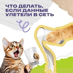 ��� ������, ���� ������������ ������ ������ � ����?