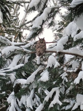 ����������, ��� ��������� � ������ �� ��������� � ��������