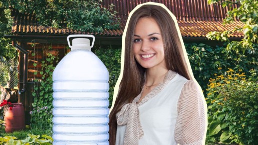 �� ������������ ����������� ������������: �� ���� ��� ��� �� ��������