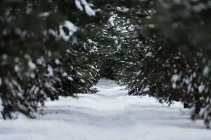 � �������� �� ����� ������� ������ ��������� ���������� ���������� ��� ����� ������� ���� ������