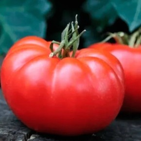 ����������: �������������� ������ ��� �������� ��������