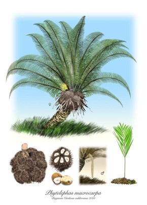 ��� ����� ���������� ������ � �����: ����������� ������� ������������ �������� �����