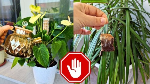 ������ ����� ������ � �������� �������� ��� ��������� ��������� ��������