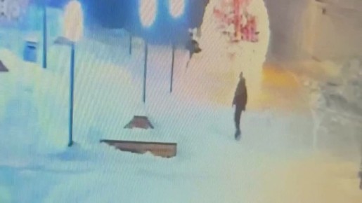 � �������� ����������� ���������� ����������� � ����������� ���������� �����������